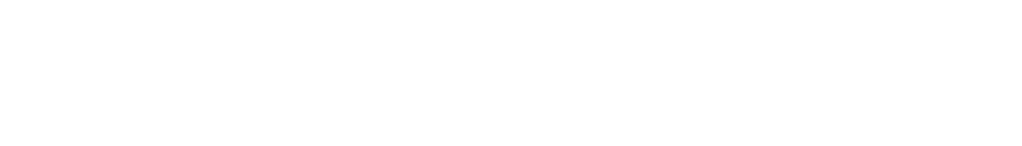 Flex-Solver